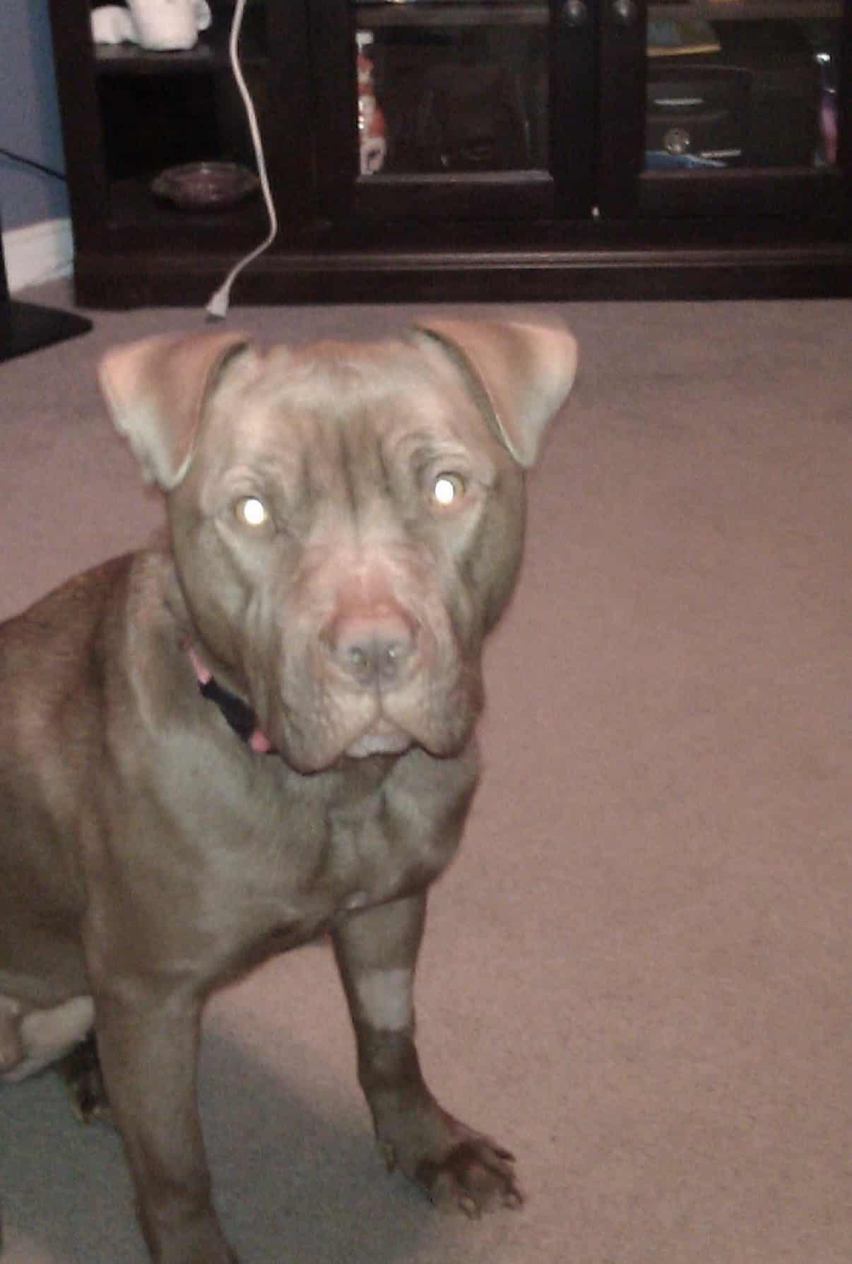 One of our baby girls we lost too soon.