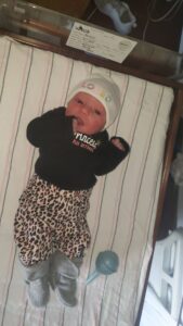 Cecilia Rose Hawley