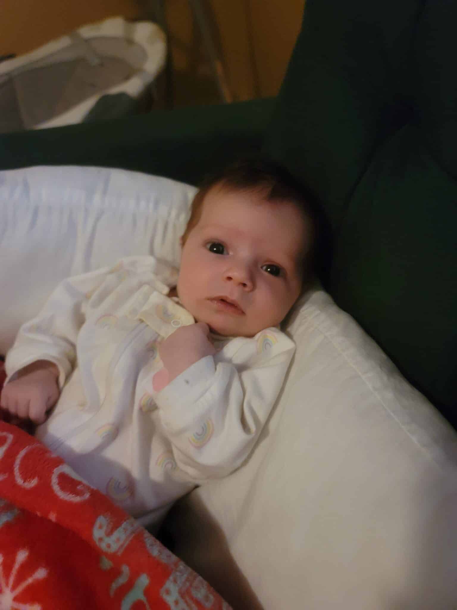 Cecilia Rose