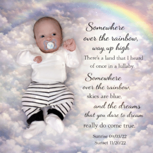 Jayceon Jahaan Campbell